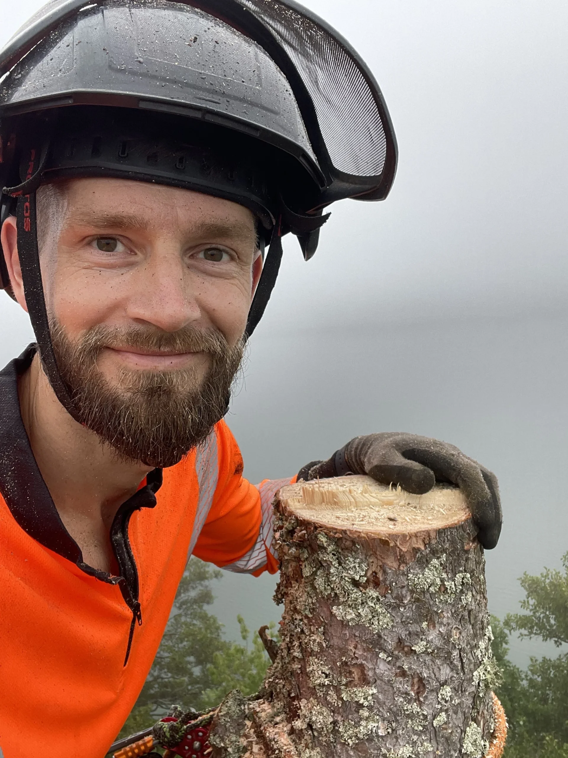 Erik Otterman, arborist i Stockholm