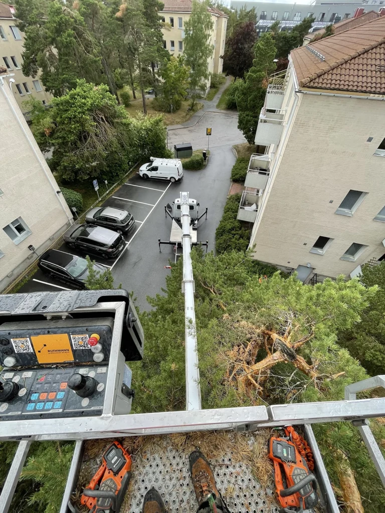 Trädfällning i Stockholm med hjälp av skylift